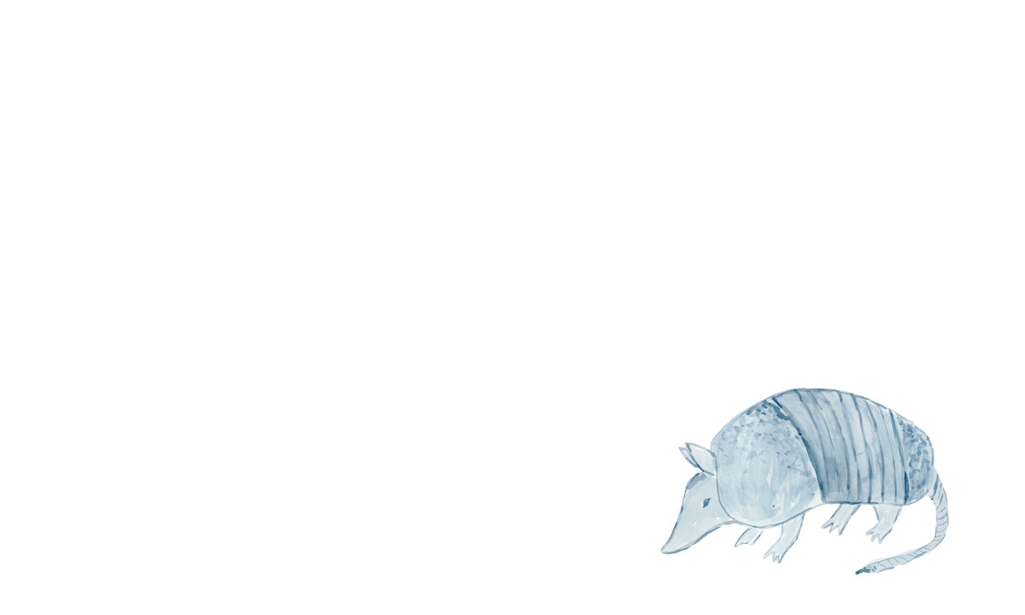 Armadillo watercolor mini notecards by Purple Pecan Creative, set of 10