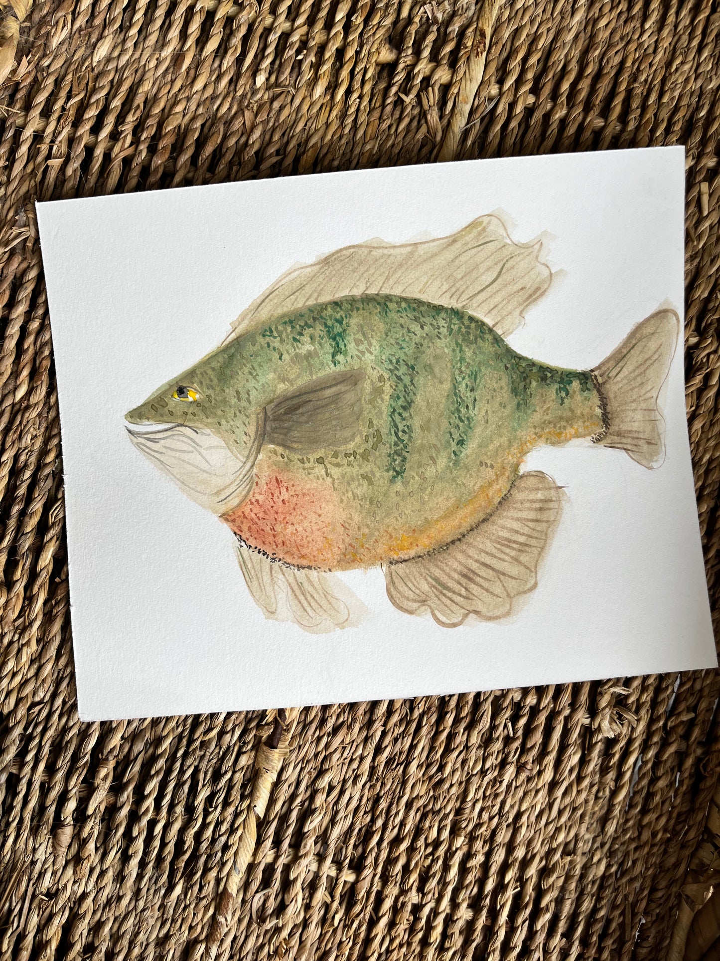 A Little Bream