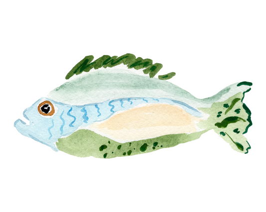 Jerry the Fish Art PRINT