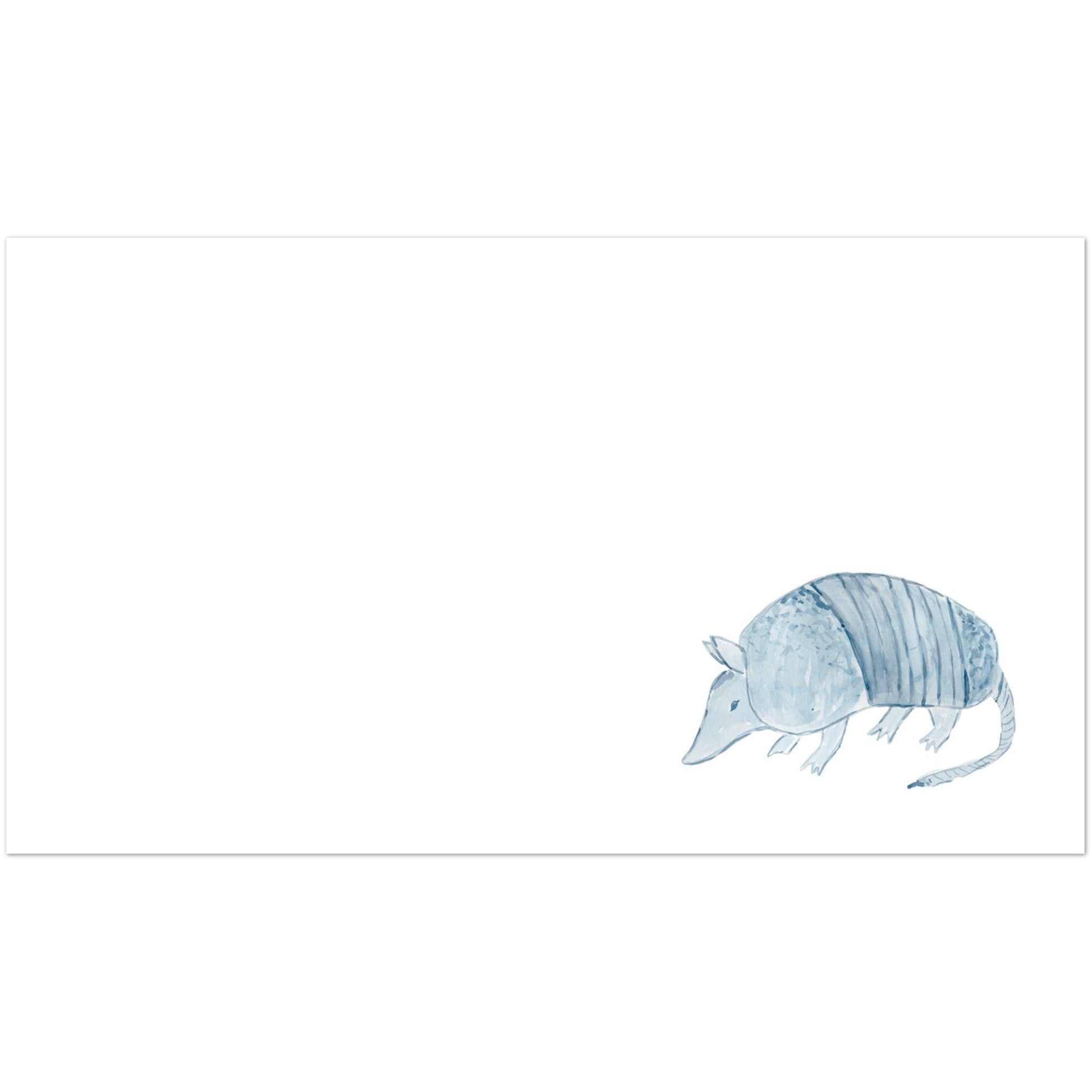 Armadillo Mini Notecards - Purple Pecan Creative Co.