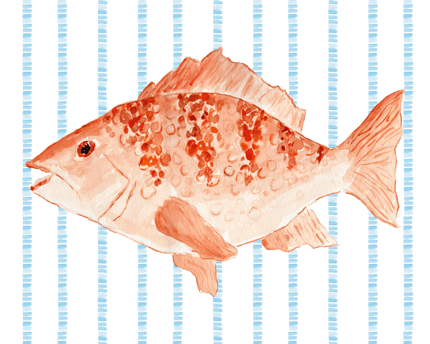 Jack the Redfish Art PRINT - Purple Pecan Creative Co.